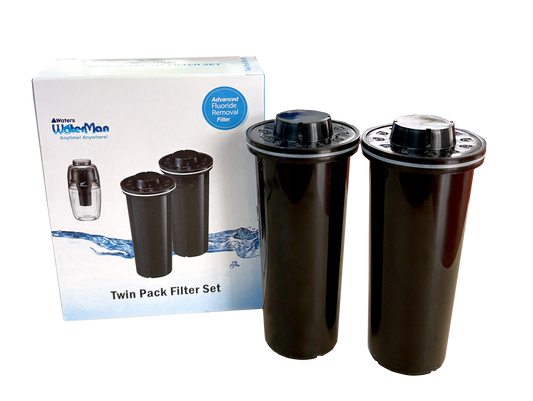 Waterman Black Twin pack